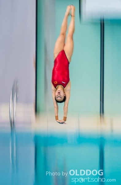 Diving (98)
