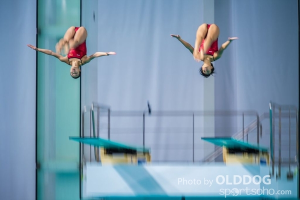 Diving (99)