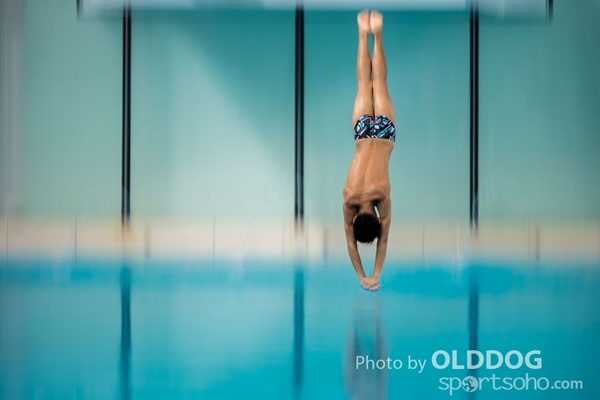 Diving (101)
