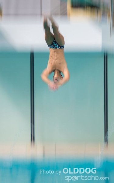 Diving (102)