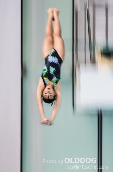 Diving (105)