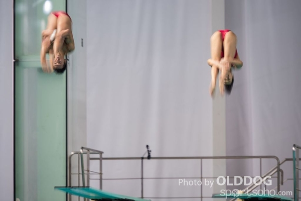 Diving (106)