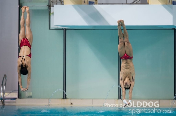 Diving (108)
