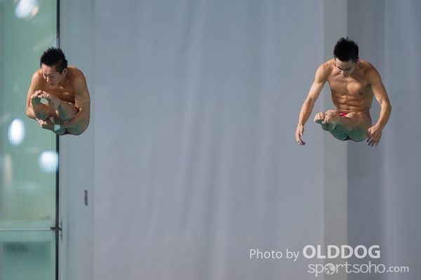 Diving (110)