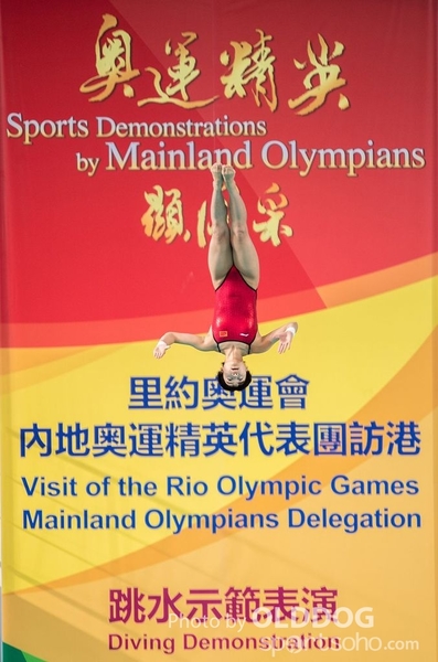 Diving (123)