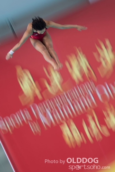 Diving (125)