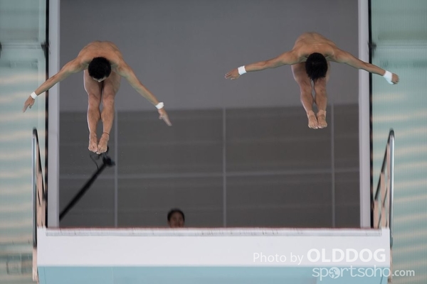 Diving (127)