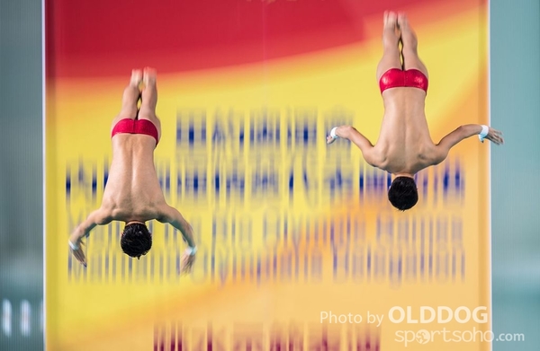 Diving (128)