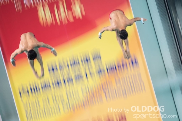 Diving (132)
