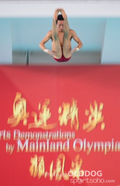 Diving (141)