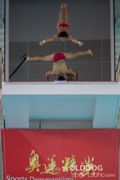 Diving (146)