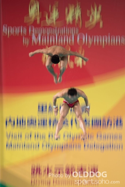 Diving (147)