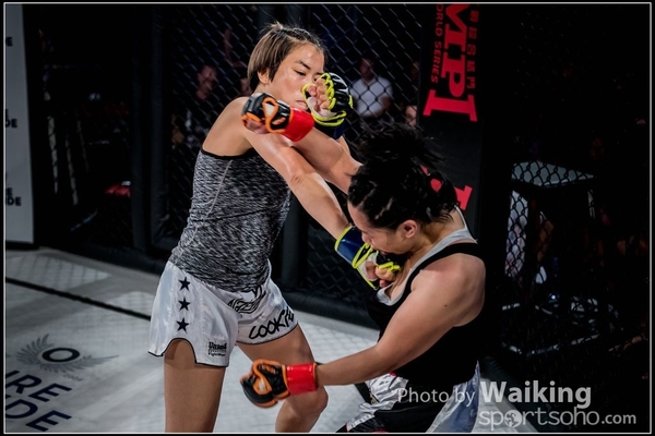 2016-08-20 IMPI 0043