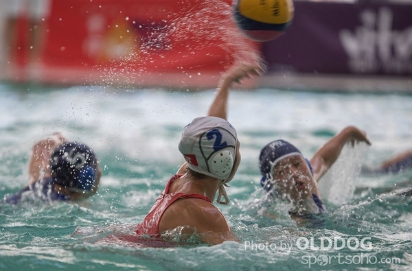 WaterPolo (100)