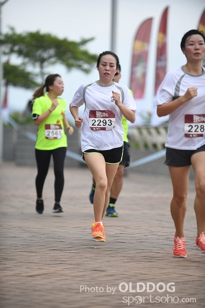 LUA10K (235)