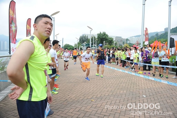 LUA10K (545)