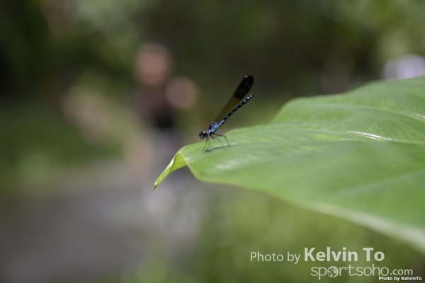 Image00046