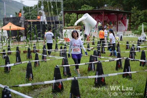 LWK_7599c