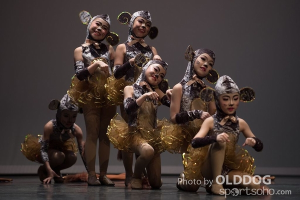 Solo Dance D1 (39)