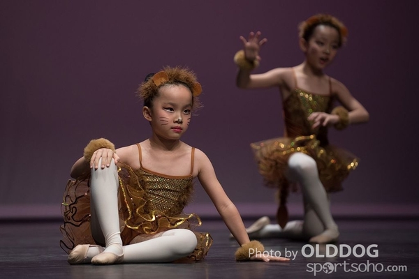 Solo Dance D1 (61)