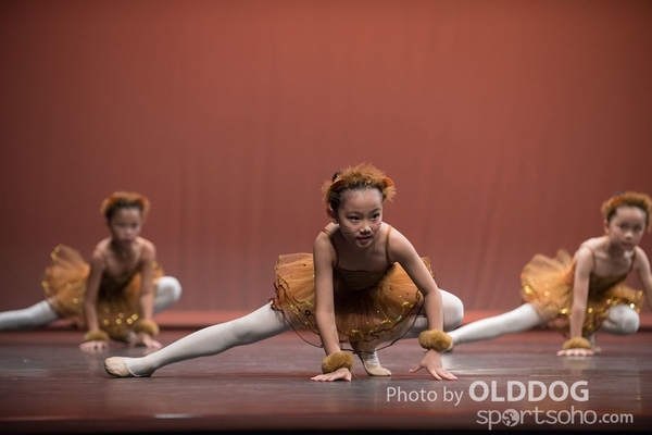 Solo Dance D1 (66)