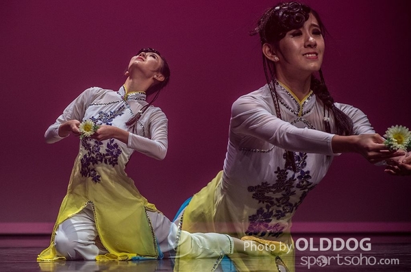 Solo Dance D1 (165)