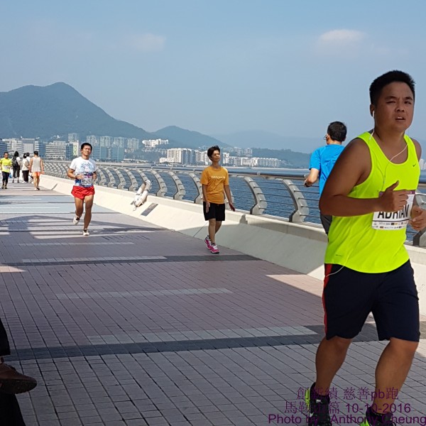 PhotoCap_347