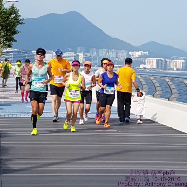PhotoCap_498