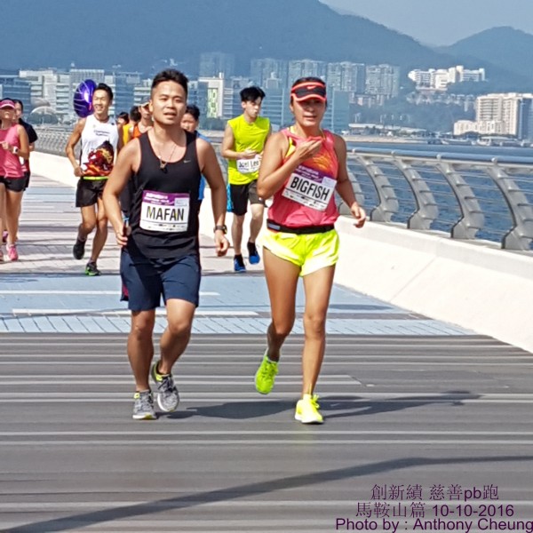 PhotoCap_515