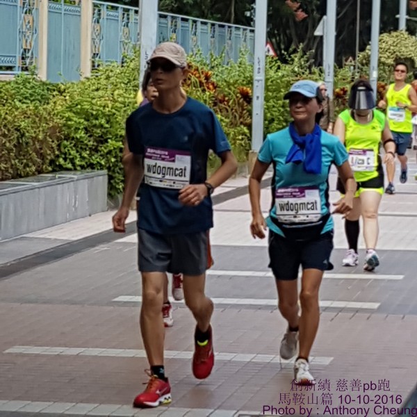 PhotoCap_659