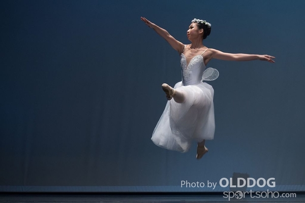 Solo Dance D2 (231)