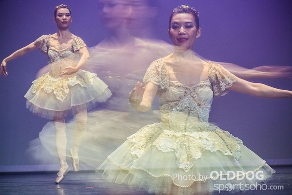Solo Dance D2 (239)