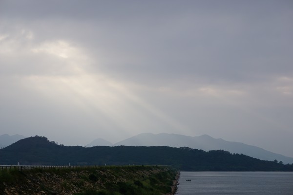 DSC03139