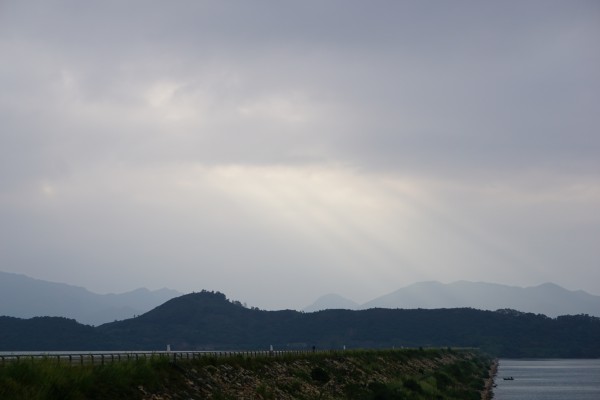 DSC03141