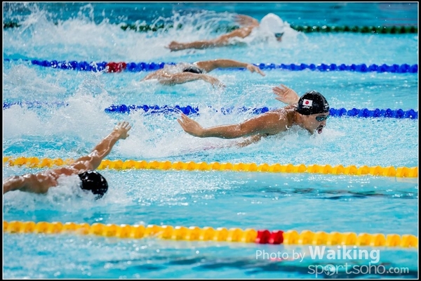 2016-10-30 Swimming 0082