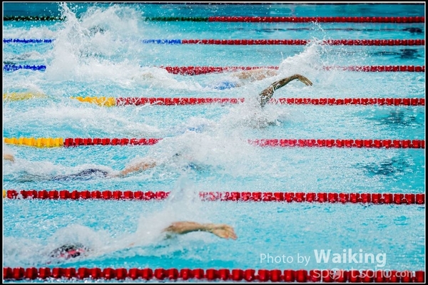 2016-10-30 Swimming 0255