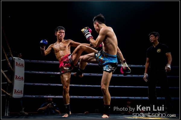 20161108Boxing 1003