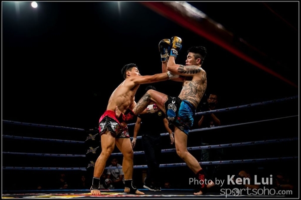 20161108Boxing 1013