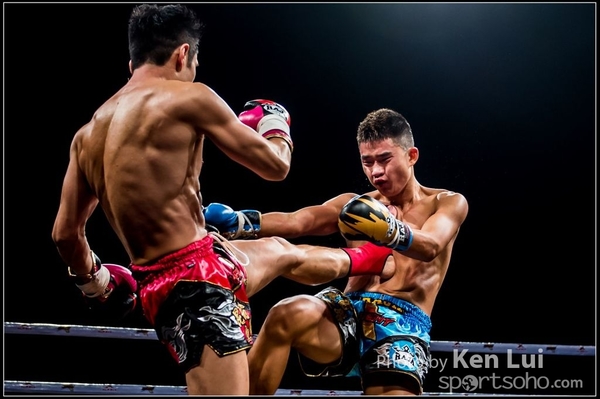 20161108Boxing 1059