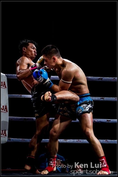 20161108Boxing 1200