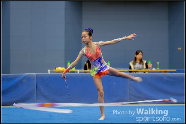 2016-11-20 Ribbon 0028