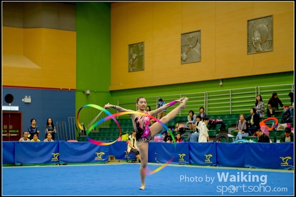 2016-11-20 Ribbon 0047