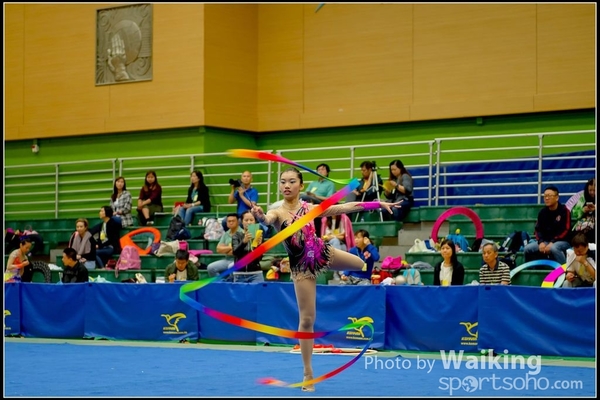2016-11-20 Ribbon 0055