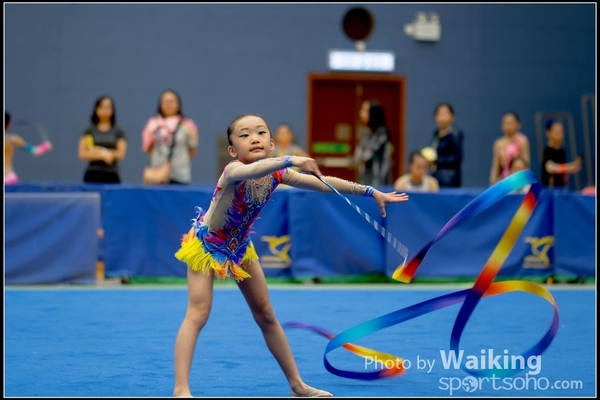 2016-11-20 Ribbon 0061