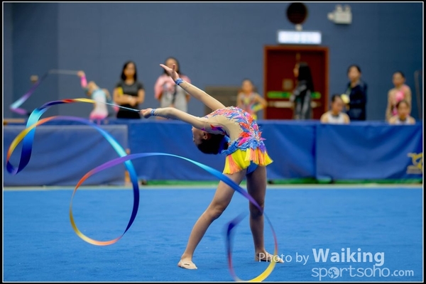 2016-11-20 Ribbon 0062