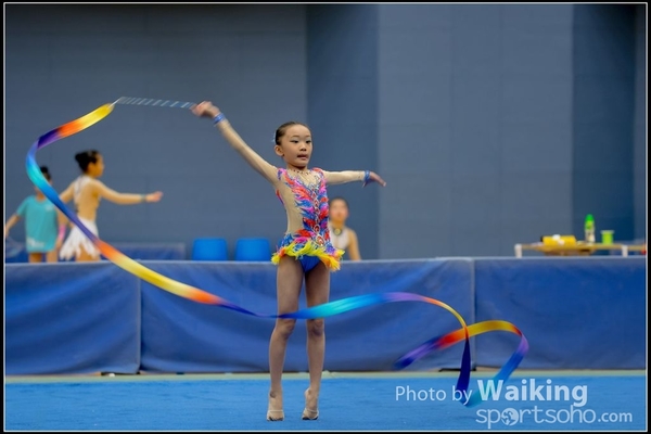 2016-11-20 Ribbon 0070