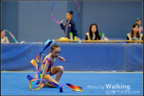 2016-11-20 Ribbon 0071