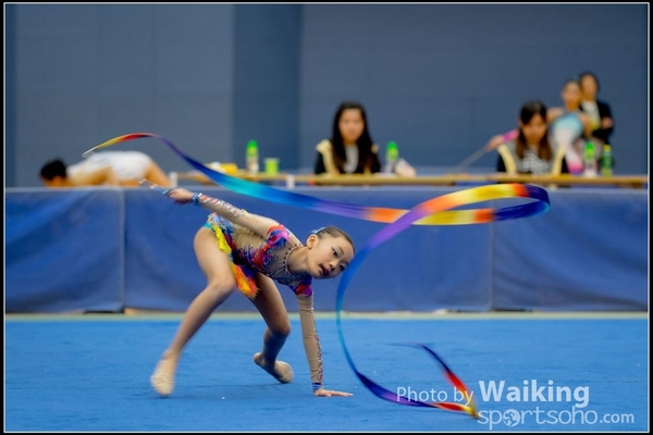 2016-11-20 Ribbon 0072
