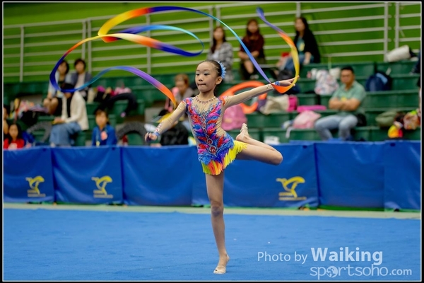 2016-11-20 Ribbon 0074