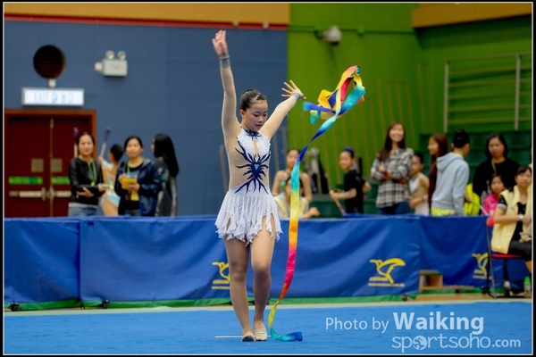 2016-11-20 Ribbon 0079